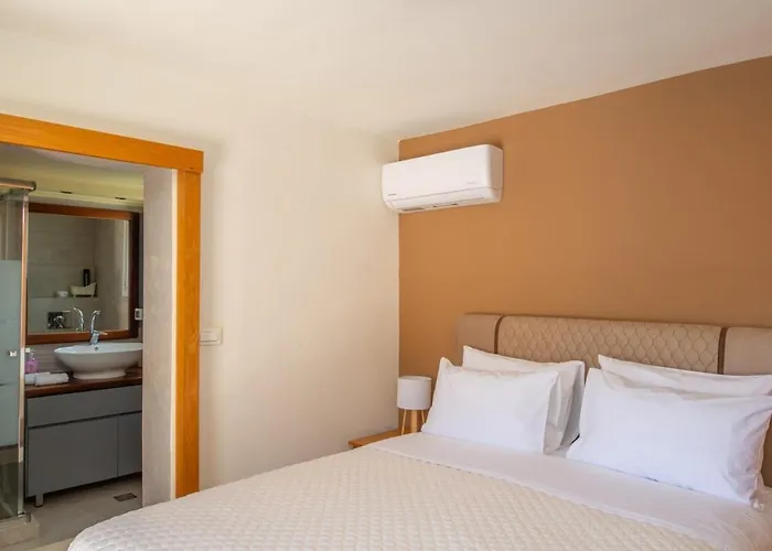 Arianna فيلة كالاثوس