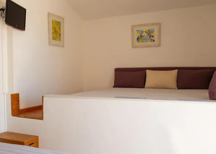 Arianna 卡拉索斯